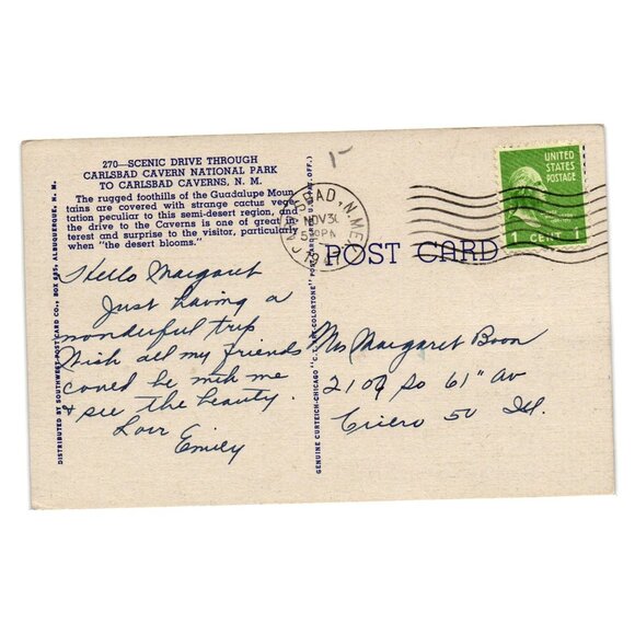 Vintage Scenic Drive Through Carlsbad Caverns National Park Postcard New Mexico - Picture 2 of 2